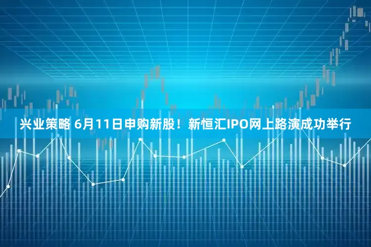 兴业策略 6月11日申购新股！新恒汇IPO网上路演成功举行